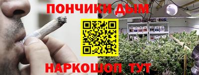 крисы Краснодар