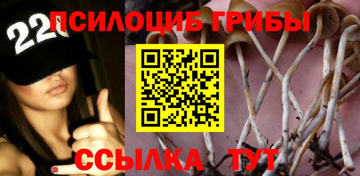 Галлюциногенные грибы мухоморы Шарыпово