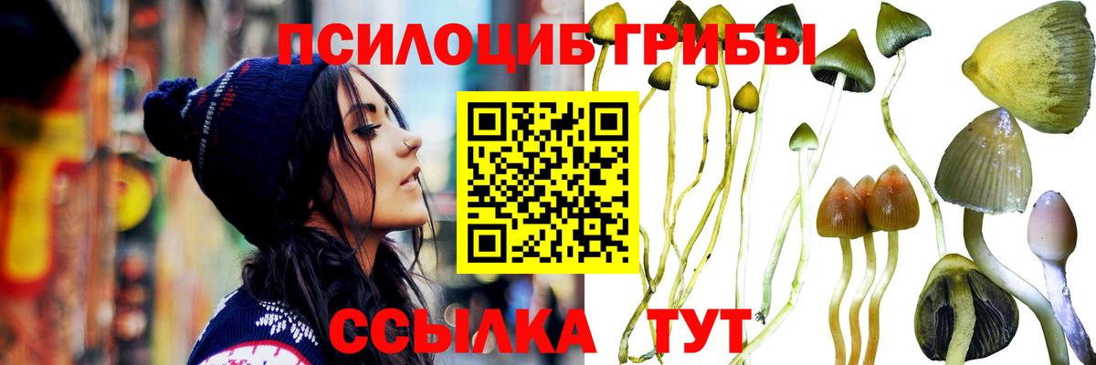 Галлюциногенные грибы ЛСД  Вход с VPN  наркотики  Шарыпово  Псилоцибиновые грибы Magic Shrooms 