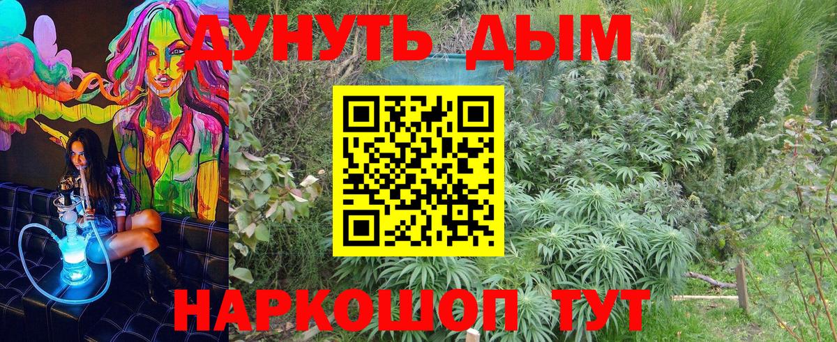 Бошки марихуана семена  Вход с VPN  Марихуана White Widow  Шишки марихуана Amnesia  Бошки Шишки Amnesia  Шарыпово 